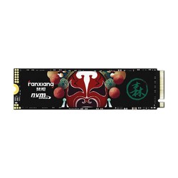 FANXIANG 梵想 S500 PRO 长江TLC颗粒  NVMe M.2固态硬盘 2TB（PCIe 3.0）