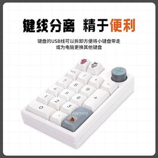 Darmoshark 达摩鲨 K3PRO 19键 2.4G蓝牙 多模机械键盘 白色 环诺Huano轴 RGB
