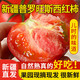 花芊茗 新疆普罗旺斯水果西红柿  5斤