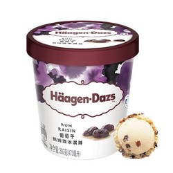 Häagen·Dazs 哈根达斯 葡萄干朗姆酒冰淇淋 392g+81g香草冰淇淋