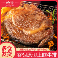 JUESHI STEAK 绝世牛排 美国精选原切牛排谷饲上脑10片