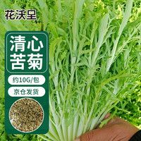 花沃里清心苦菊种子10g/包 蔬菜种子四季苦苣菜籽阳台种植盆栽土庭院种