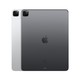百亿补贴：Apple 苹果 iPad Pro 2021款 12.9英寸平板电脑 256GB 5G版