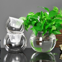 姝好 水培植物透明玻璃花瓶简约水养绿萝盆栽花盆圆球形小鱼缸器皿容器