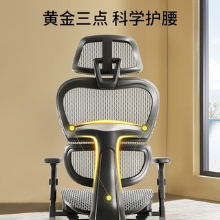 恒林 开普勒电脑椅 黑框黑网+定性棉坐垫+尼龙脚