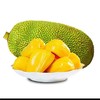 海南黄肉菠萝蜜 10-15斤