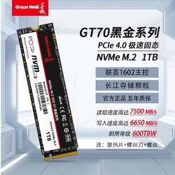 Great Wall 长城 GT70  1TB SSD固态硬盘支持PS5 M.2 NVMe 协议 PCIe 4.0