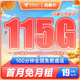 中国电信 梧桐卡 19元月租（115G全国流量+100分钟通话）送30话费 长期套餐