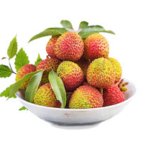 聚牛果园 海南妃子笑新鲜荔枝 5斤装中果
