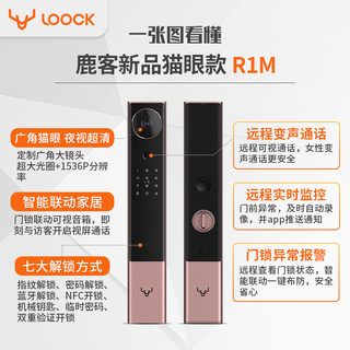 Lockin 鹿客 可视猫眼智能指纹锁R1M家用防盗门电子全自动密码锁