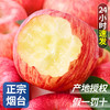 烟台红富士苹果10斤应当季新鲜水果整箱山东栖霞脆甜冰糖心丑平果