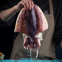 88VIP：北海印象 喵满分 北海印象 墨鱼干乌贼干货目鱼干大号500g淡晒海鲜产品
