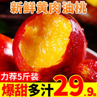 甜果源 新鲜黄肉油桃 脆甜黄心桃子当季新鲜水果 3斤