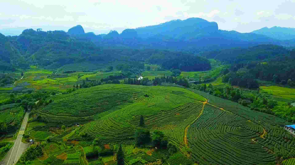 周末端午不加价！低至332/晚住复式房型！武夷山九曲绿地铂骊酒店 云上复式大床房2-3晚套餐（含2大2小早餐+汉服体验+旅行福袋等）