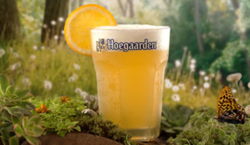 Hoegaarden 福佳 白啤酒比利时风味小麦灌装精酿310ml*12听