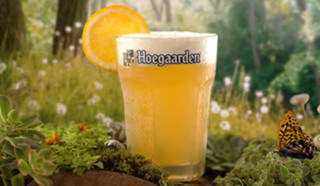 Hoegaarden 福佳 比利时风味白啤酒