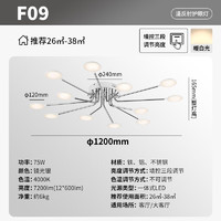 德国柏曼 P 德国柏曼吸顶灯 客厅卧室led房间灯 欧式简约吸顶灯智能遥控调光 12头  推荐26-38㎡ 银 暖白光