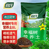 尚洋 幸福树植物营养土8L园艺种菜有机土壤阳台颗粒土盆栽种植基质土
