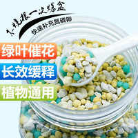 SHIZI 施滋 緩釋肥  300g