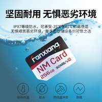 FANXIANG 梵想 NM1系列 NM存储卡 256GB