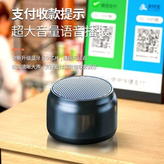 LOYFUN 乐放 迷你蓝牙音箱