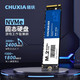 CHUXIA 储侠 CP20 NVMe M.2 固态硬盘 512GB（PCI-E3.0）