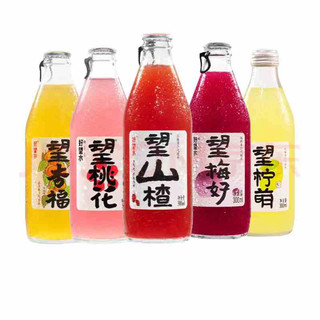 HOPE WATER 好望水 气泡水 300ml*6瓶（5口味混装）