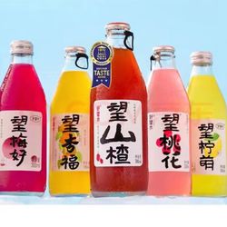 HOPE WATER 好望水 气泡水 300ml*6瓶（5口味混装）