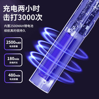 BIOSPA 充电式电蚊拍 标准款