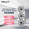 PNY 必恩威 GeForce RTX4070Ti 12GB Gaming VERTO LED掌控者性能版三风