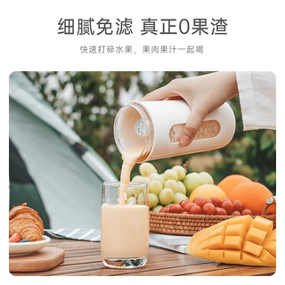 小质 10叶刀头榨汁杯榨汁机便携式小型果汁机冰沙机果汁杯奶昔机搅拌机 +12+ GB02