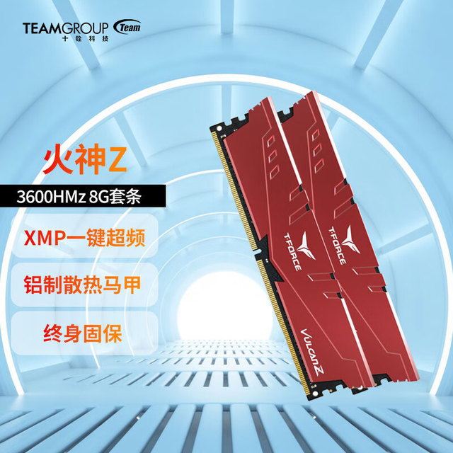 Team 十铨 科技 十铨(Team) 冥神系列DDR4 3600 16G 32G台式机内存条（套条）火神 火神Z DDR4 3600 8G