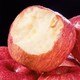 陕西洛川红富士苹果 超大果85mm以上9斤装