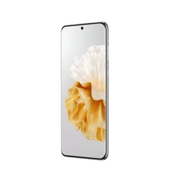 HUAWEI 华为 P60 Pro 4G智能手机 12GB+512GB