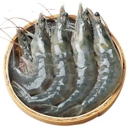尊利渔 青岛大虾 500g 单只15-18cm