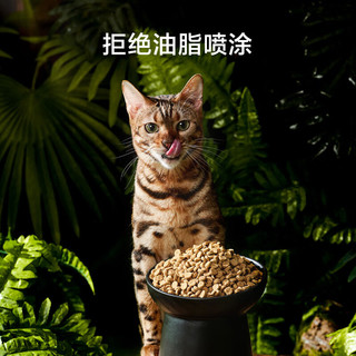 京东京造 低温烘焙全阶段猫粮 鸡肉味 2kg