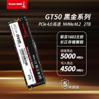 Great Wall 长城 GT50 固态硬盘  2TB PCIe 4.0