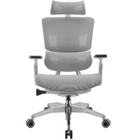 ERGOUP 有谱 FLY MAX 人体工学电脑椅 灰色 标准款