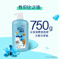 Rejoice 飘柔 日常护理顺滑轻盈护发素 750g