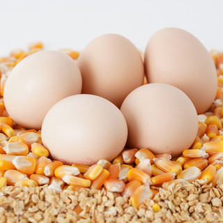 德青源低醇鲜富硒鲜鸡蛋无抗20枚营养早餐无腥味鲜鸡蛋