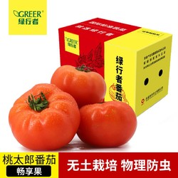 GREER 绿行者 桃太郎番茄畅享果5斤沙瓤多汁