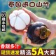 花芊茗  精品泰国进口山竹5A  净重4斤