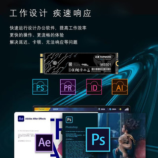 TOPMORE 达墨 MS501 NVMe M.2 固态硬盘 4TB（PCI-E3.0）