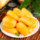 plus会员：花音谷 海南黄肉菠萝蜜 10-15斤  精选大果1个装