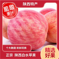 陕西正宗白水红富士苹果 带箱五斤 原产地直发新鲜水果