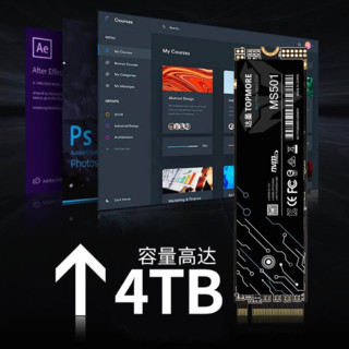 TOPMORE 达墨 MS501 NVMe M.2 固态硬盘 4TB（PCI-E3.0）