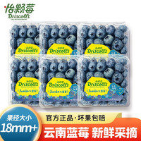 怡颗莓 Driscoll's云南蓝莓新鲜水果125g/盒 大果6盒