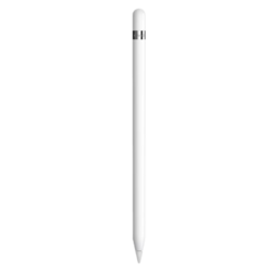 APPLE 苹果鞋 苹果 Apple Pencil 一代 触控笔