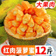 优选海南红肉菠萝蜜10-12斤　