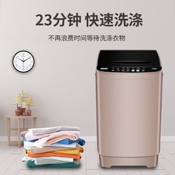 CHIGO 志高 全自动洗衣机 家用大容量波轮 洗脱一体机 宿舍出租房公寓 洗烘一体 5.5KG咖啡金